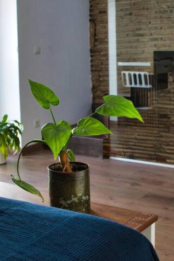 Ferienhaus Mediterranea En El Centrico Casco Antiguo A Un Paso Del Mar *